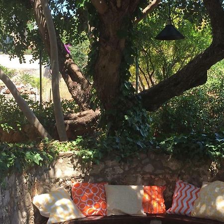 דירות סטארי גראד Relax Garden מראה חיצוני תמונה