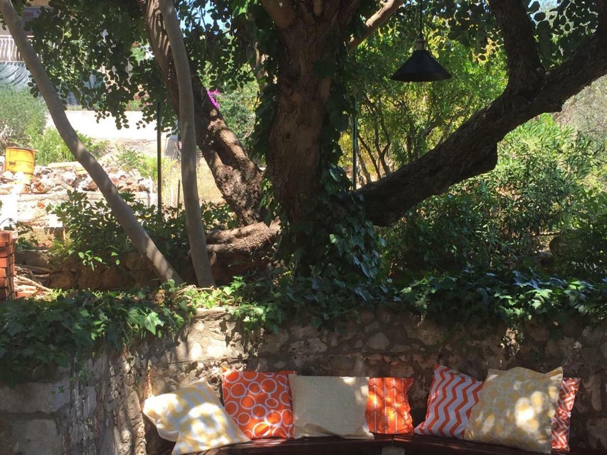 דירות סטארי גראד Relax Garden מראה חיצוני תמונה