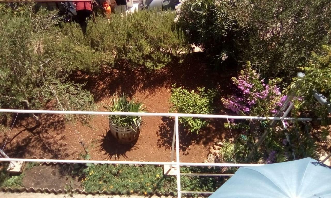 דירות סטארי גראד Relax Garden מראה חיצוני תמונה